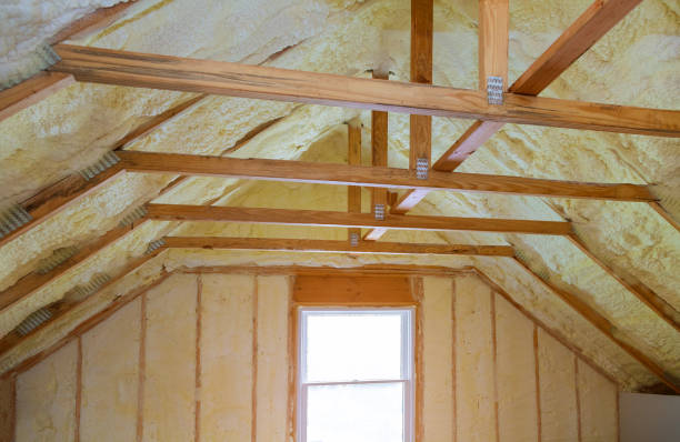 Best Insulation Repair Services  in Newberry, SC