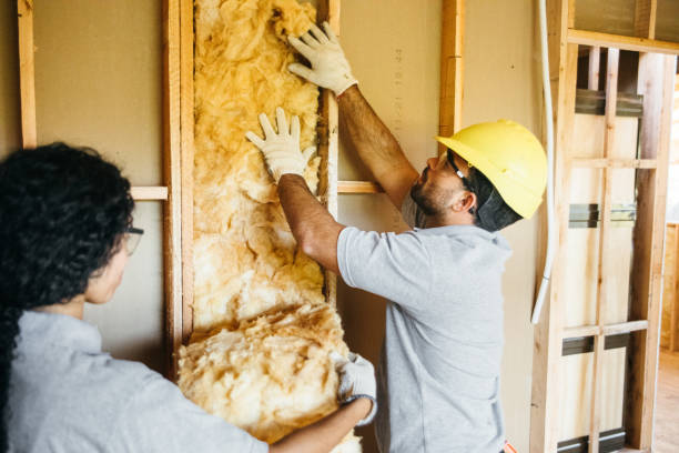Best Insulation Removal  in Newberry, SC