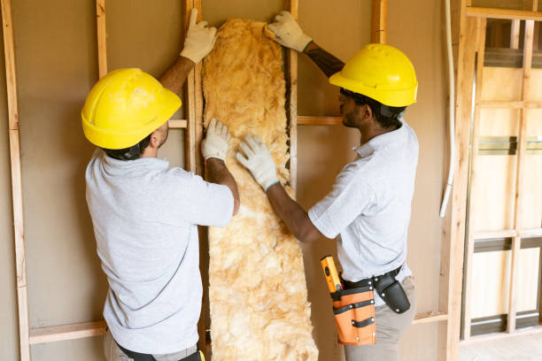 Insulation Replacement Services in Newberry, SC