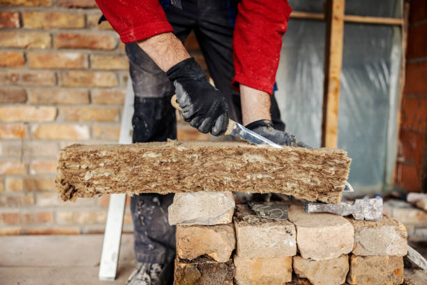 Best Professional Insulation Contractor  in Newberry, SC