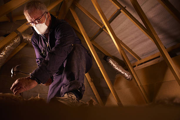 Best Insulation Contractor Near Me  in Newberry, SC