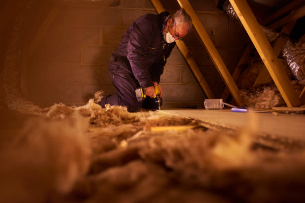 Best Insulation Replacement Services  in Newberry, SC