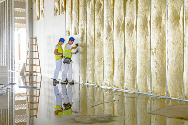 Best Energy-efficient Insulation  in Newberry, SC